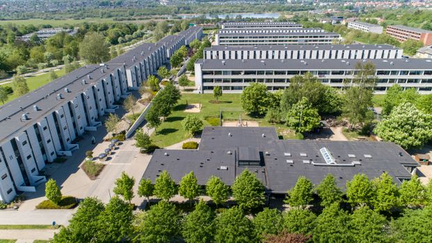 Beatesmindevej 6-76 og Hellevangen 1-49 - Foto 1