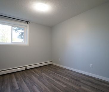 Gorgeous and Modern Fully Renovated 2 Bed Apartment, CATS OK! - Photo 5