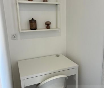 MIESZKANIE na WYNAJEM SZCZECIN (437303) - Photo 4