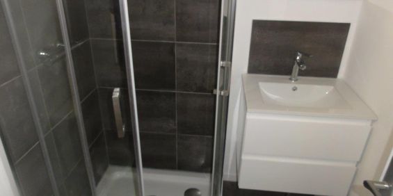 Location Appartement 1 pièce 31m² LE CREUSOT 71200 - Photo 3