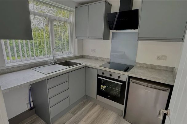 Studio Flat, Trident Court, B32 - Photo 1