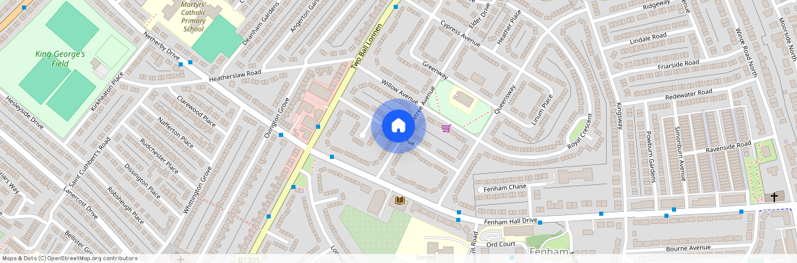 Alder Avenue, Fenham