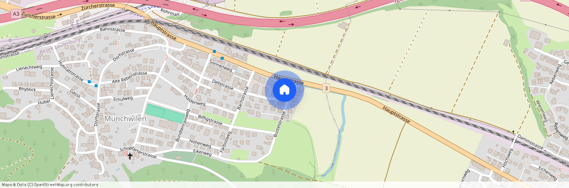 Bustelstrasse 4 A, 4333 Münchwilen AG