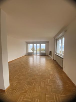 4.5-Zimmerwohnung befristet bis zum 30.06.2028 im Lützelmattquartier - Foto 1