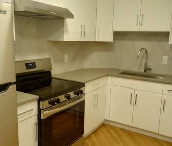 Newly Renovated 1 Bdrm and Den apartment for rent. Rent is $1,895 - Photo 2