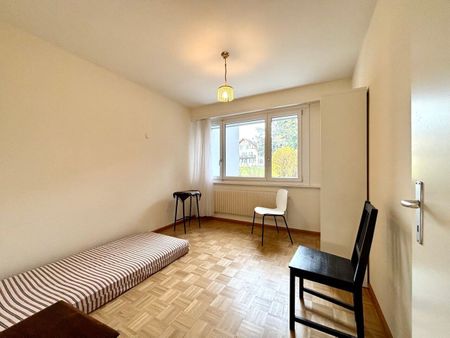 Beautiful furnished apartment with large terrace in quiet neighborhood in Nyon - Photo 5