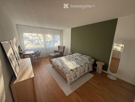 Sublet Fully Furnished 2-Room Apartment in Cham, Zug Kanton - Foto 2