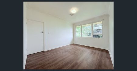 Convenient Family Home in Prime Carlingford Location - Photo 4