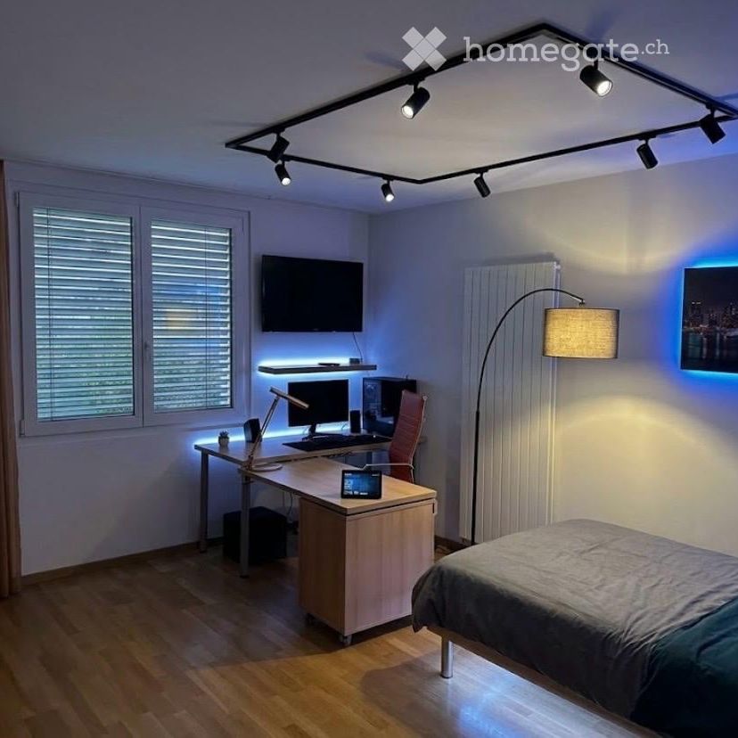 Neu renovierte Wohnung neben Grotto Broggini Losone - Foto 1