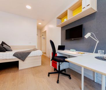 Standard Studio - Photo 2