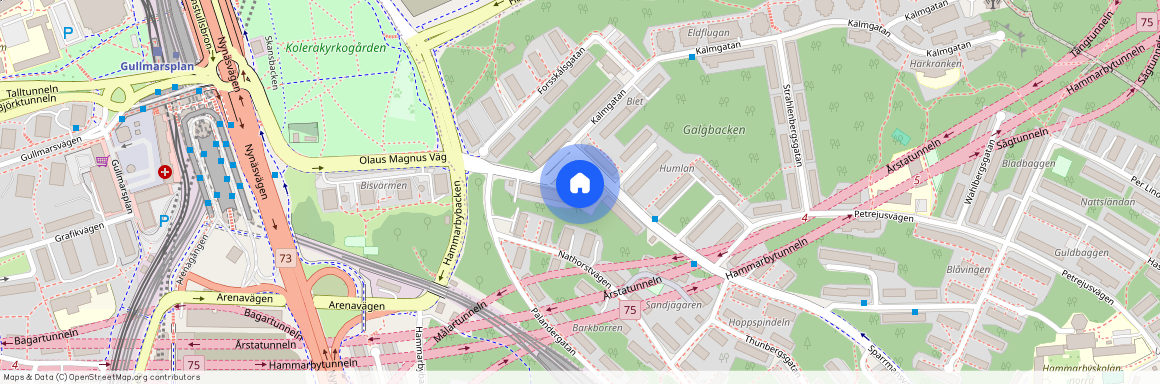 Olaus Magnus väg, Johanneshov