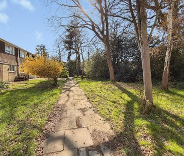 3 bedroom terraced house to rent - Photo 6