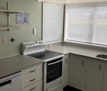 THREE BEDROOMS, FEILDING - Photo 4