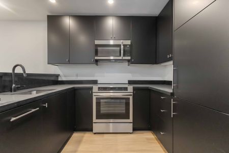 For Lease - 509 Main Street Unit# Basement, Toronto, Ontario - Photo 2