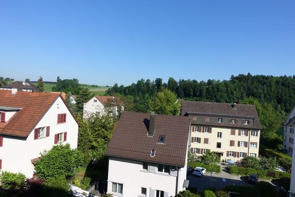 Stadtwohnung im Maihofquartier mit Blick ins Grüne - Photo 1