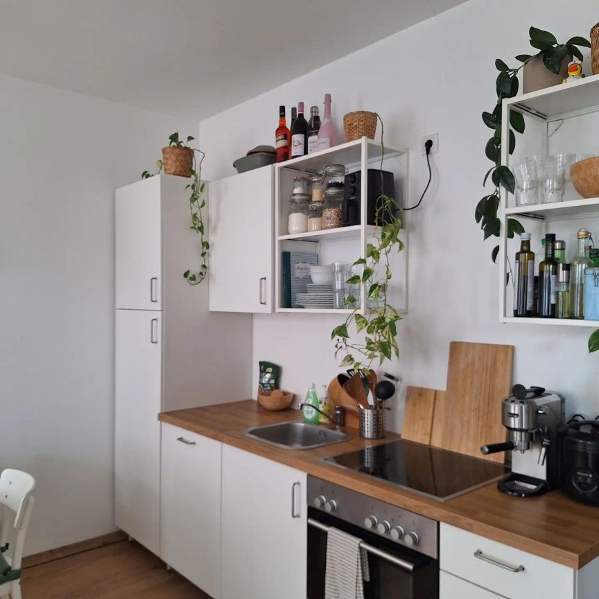 Senefeldergasse: Unbefristet - Sonnige 2 Zimerwohnung - Gute öffentliche Verkehrsanbindung - Photo 2