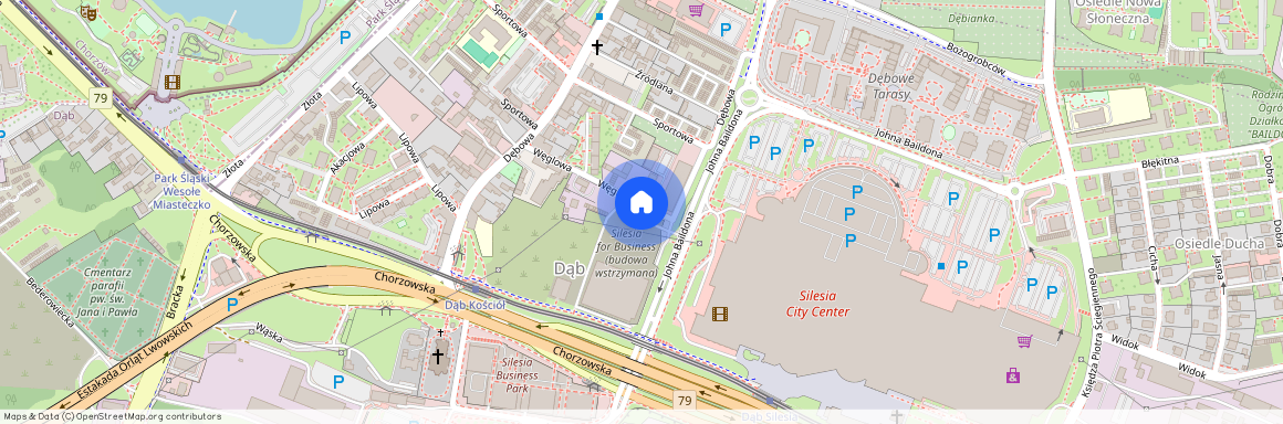 Dąb, Katowice