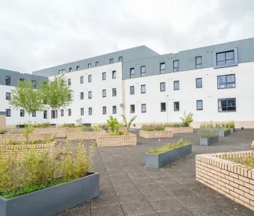 6 Bed Gold Ensuite - Photo 1