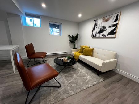 For Lease - 66 Wellington Street Unit# lower, Hamilton, Ontario - Photo 5