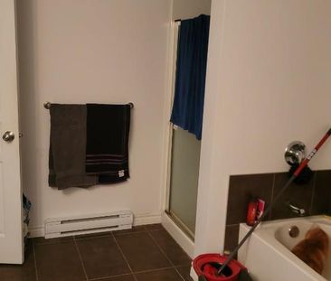 Appartement 4 1/2 - Photo 4