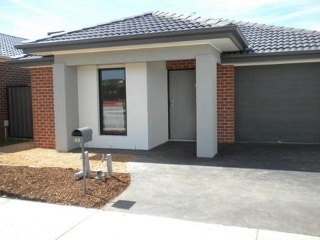 64 Millicent Drive, CRAIGIEBURN - Photo 2