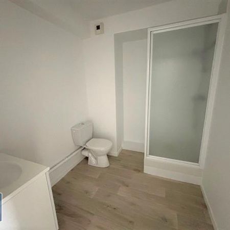 Location Appartement 1 pièce 25m² NANTES 44000 - Photo 4