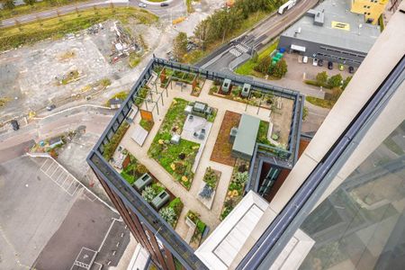 Lodjursstråket, Göteborg - Foto 4