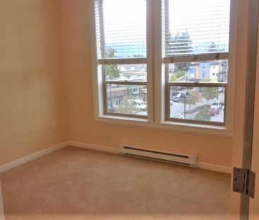 CAROLINE APTS - 310 - CA310 - Photo 3