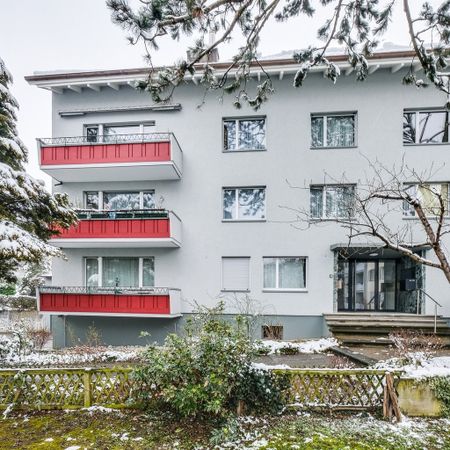 Gemütliche Wohnung in Allschwil gesucht? - Photo 2