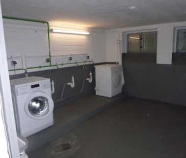 3-Zimmer-Wohnung in Gelsenkirchen Hassel - Photo 3