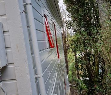 Bush-surrounded 2 bed flat in Aro Valley - Photo 6