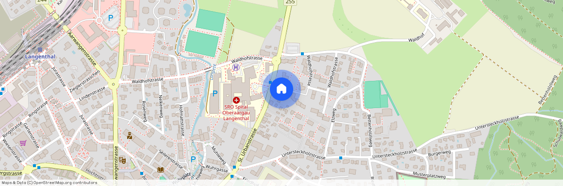 Waldhofstrasse 32, 4900 Langenthal
