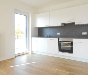 Q5 am PARK sonnige 3ZI am Reininghauspark, außergewöhnlich 3 S/W Ba... - Photo 5