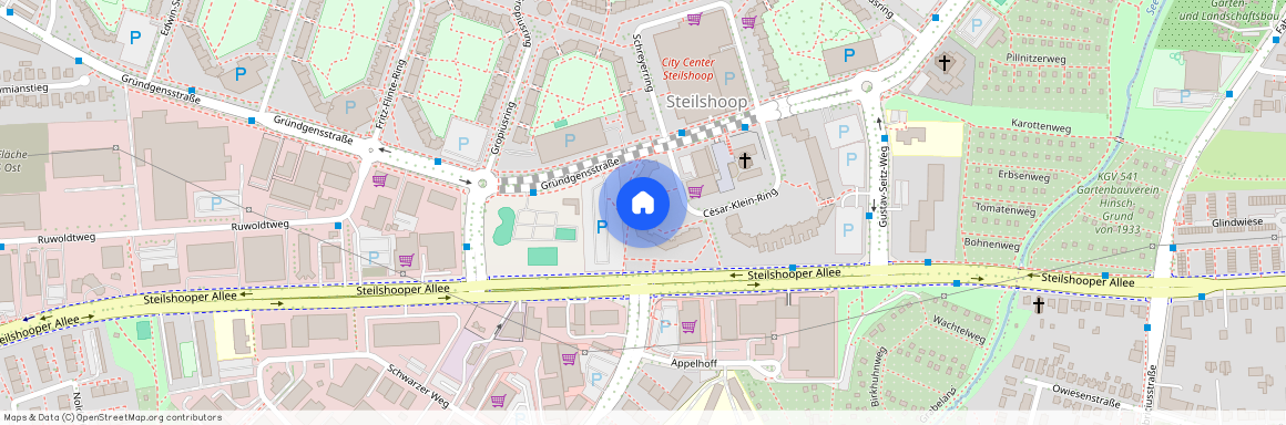 Cesar-Klein-Ring 8, 22309 Wandsbek - Steilshoop