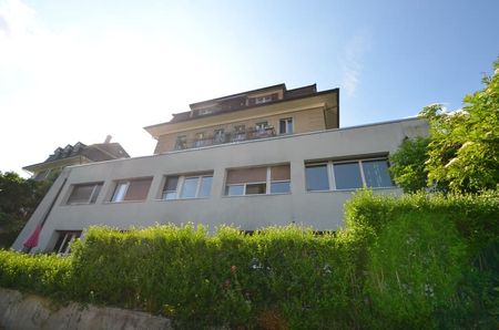 3.5 Zimmer, EG - Photo 4