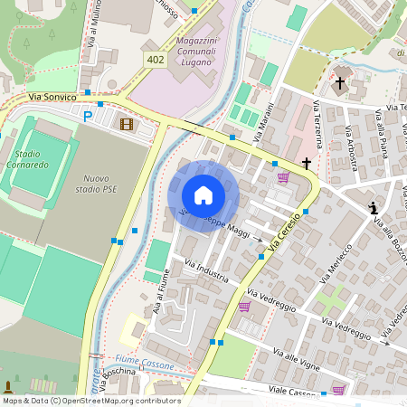 6963, Lugano, Via Giuseppe Maggi, 8