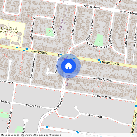 62 Rowland Street, NSW 2212, Revesby