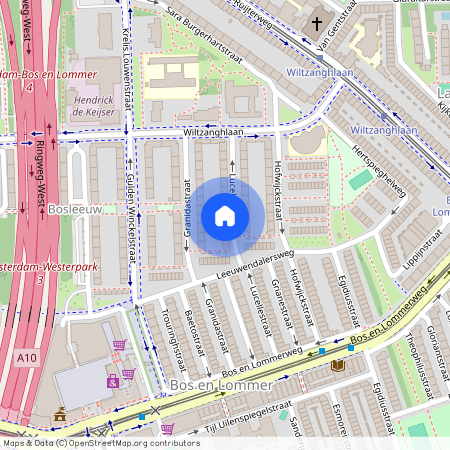 Lucellestraat 11-2, Bosleeuw, 1055HS, Amsterdam