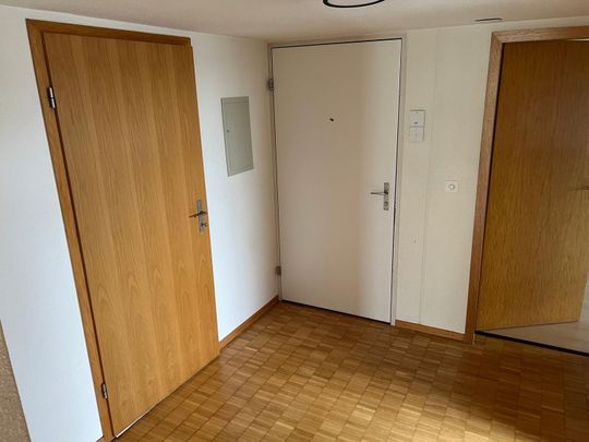 Rent a 3 ½ rooms apartment in Fislisbach - Photo 1