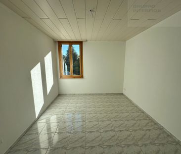 GRANDE APPARTAMENTO IMMERSO NEL VERDE - Foto 3