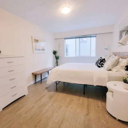 Per friendly renovated one bedroom!Kitsilano - Photo 3