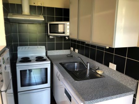 Cute and comfortable in Maori Hill - Available 13/10/2025 - Photo 4