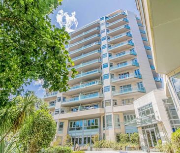 Recently Renovated Apartment - Photo 2