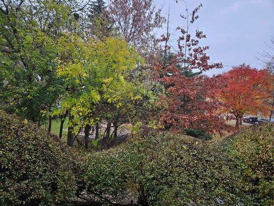 For Lease - 450 Arlington Avenue Unit# 7, Toronto, Ontario - Photo 1