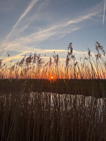 Woude 26 - Photo 5