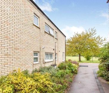 House share to rent - Photo 5