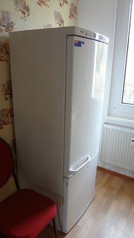 Freundliche 1-Zimmer-Wohnung im Erdgeschoss - Foto 3