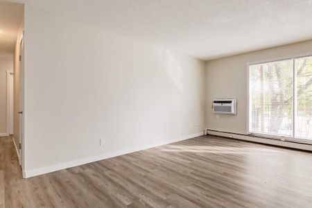 Renovated Suite - 1 Bedroom - Photo 3
