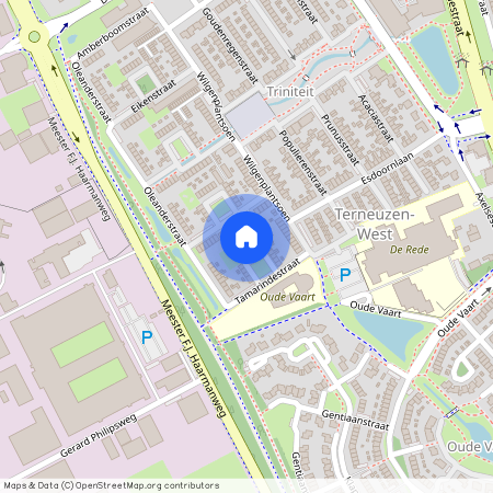 Tamarindestraat 29, 4537XG, Terneuzen