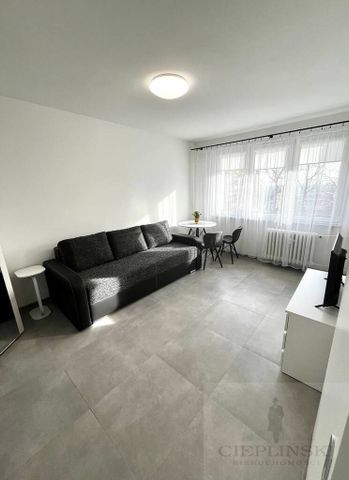 kawalerka do wynajęcia, Centrum, ul.Potulicka - Photo 3